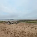 The Lookout